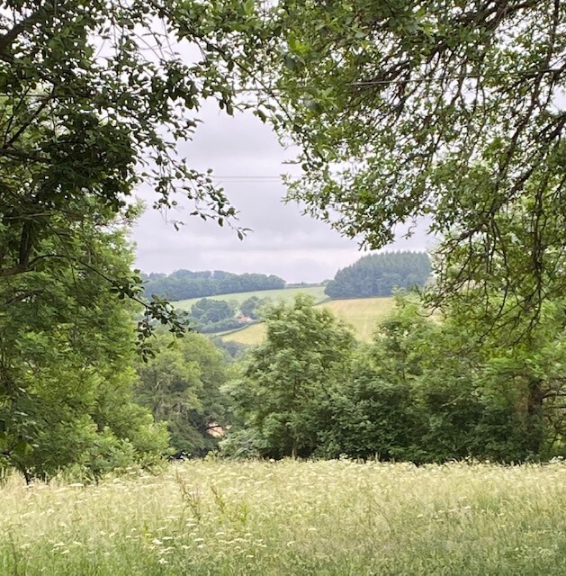 Praktijk Groeikracht Lisse, praktijkruimte